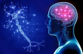 NEUROLOGY